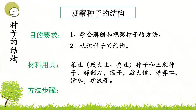 4.1.3果实和种子的形成 课件 ---2024年初中秋季济南版生物八年级上册08