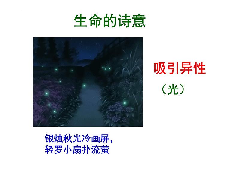 4.2.1昆虫的生殖和发育教学课件 ---2024年初中秋季济南版生物八年级上册07