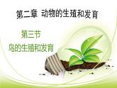 4.2.3 鸟的生殖和发育 课件 --2024年初中秋季济南版生物八年级上册