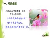 4.2.3 鸟的生殖和发育 课件 --2024年初中秋季济南版生物八年级上册