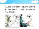 4.2.3 鸟的生殖和发育课件 --2024年初中秋季济南版生物八年级上册