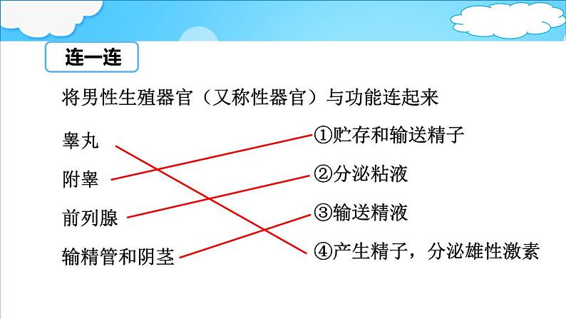 4.3.1  婴儿的诞生 课件 -2024年初中秋季济南版生物八年级上册第6页