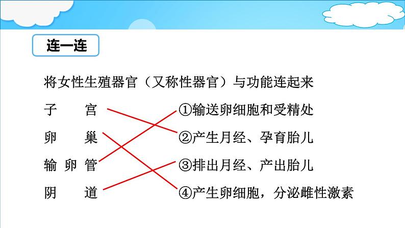 4.3.1  婴儿的诞生 课件 -2024年初中秋季济南版生物八年级上册第8页