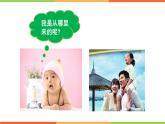 4.3.1 婴儿的诞生 课件  2024年初中秋季济南版生物八年级上册