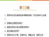 4.3.1 婴儿的诞生 课件  2024年初中秋季济南版生物八年级上册