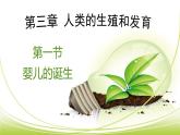 4.3.1 婴儿的诞生课件 --2024年初中秋季济南版生物八年级上册
