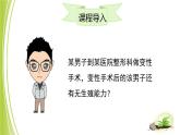 4.3.1 婴儿的诞生课件 --2024年初中秋季济南版生物八年级上册