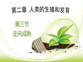 4.3.3 走向成熟課件 -2024年初中秋季濟南版生物八年級上冊