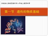 4.4.1遗传的物质基础  课件 --2024年初中秋季济南版生物八年级上册
