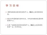 4.4.1遗传的物质基础  课件 --2024年初中秋季济南版生物八年级上册
