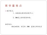 4.4.1遗传的物质基础  课件 --2024年初中秋季济南版生物八年级上册