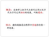 4.4.1遗传的物质基础  课件 --2024年初中秋季济南版生物八年级上册