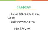 4.4.1遗传的物质基础课件 --2024年初中秋季济南版生物八年级上册