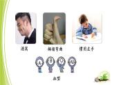 4.4.2 性状的遗传 课件 -2024年初中秋季济南版生物八年级上册
