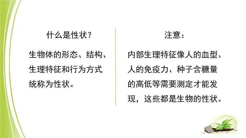 4.4.2 性状的遗传 课件 -2024年初中秋季济南版生物八年级上册第4页