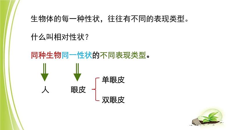 4.4.2 性状的遗传 课件 -2024年初中秋季济南版生物八年级上册第6页