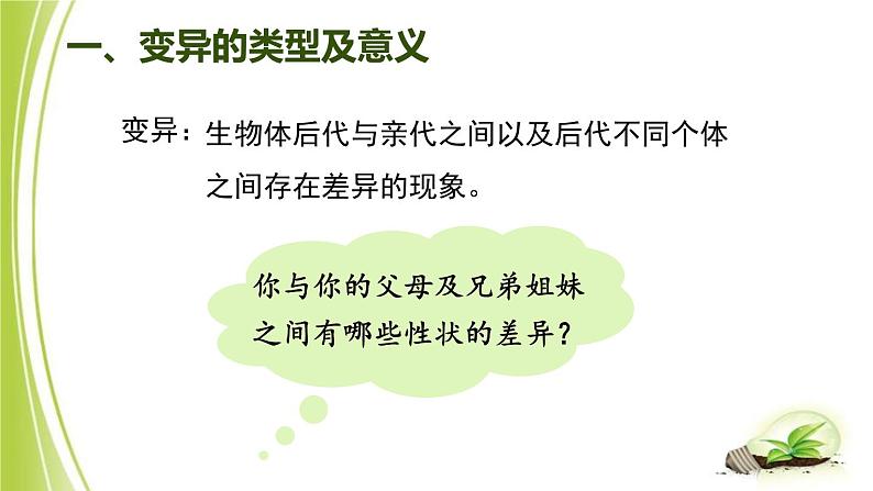 4.4.4 生物的变异课件 --2024年初中秋季济南版生物八年级上册第3页