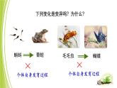 4.4.4 生物的变异课件 --2024年初中秋季济南版生物八年级上册