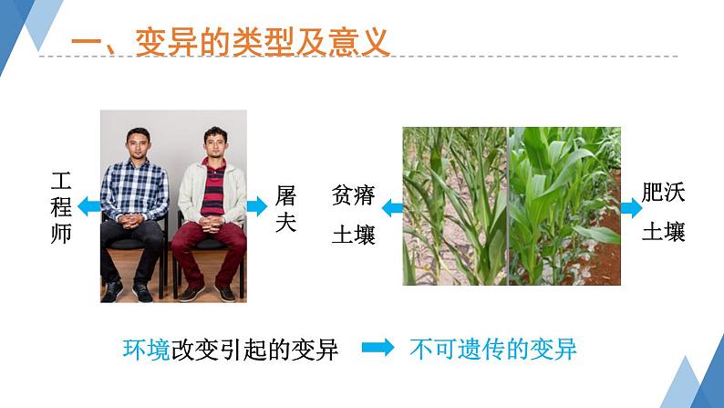 4.4.4生物的变异 课件(  -2024年初中秋季济南版生物八年级上册04