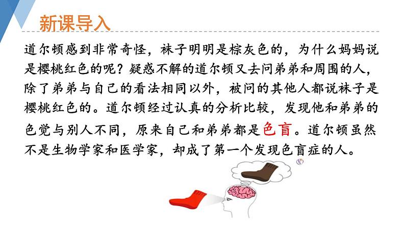4.4.5 人类优生与基因组计划 课件 --2024年初中秋季济南版生物八年级上册03