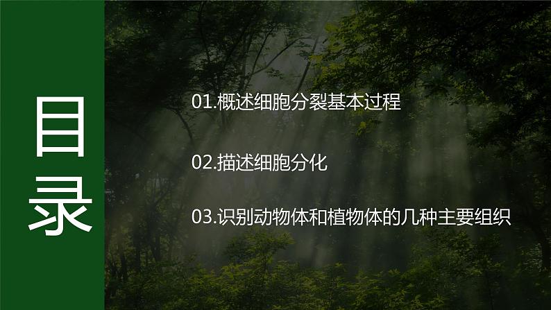 济南版 初中生物七年级上册1.2.2细胞通过分裂和分化形成不同组织课件+视频03