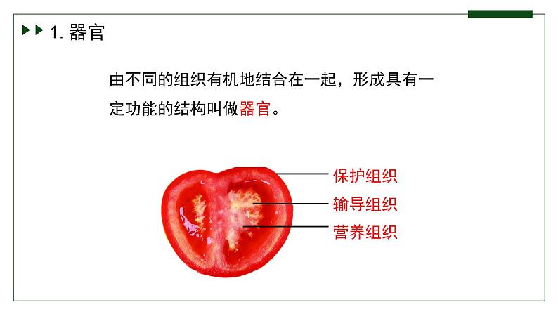 济南版 初中生物七年级上册1.2.3生物体在结构和功能上是一个统一整体课件+视频06