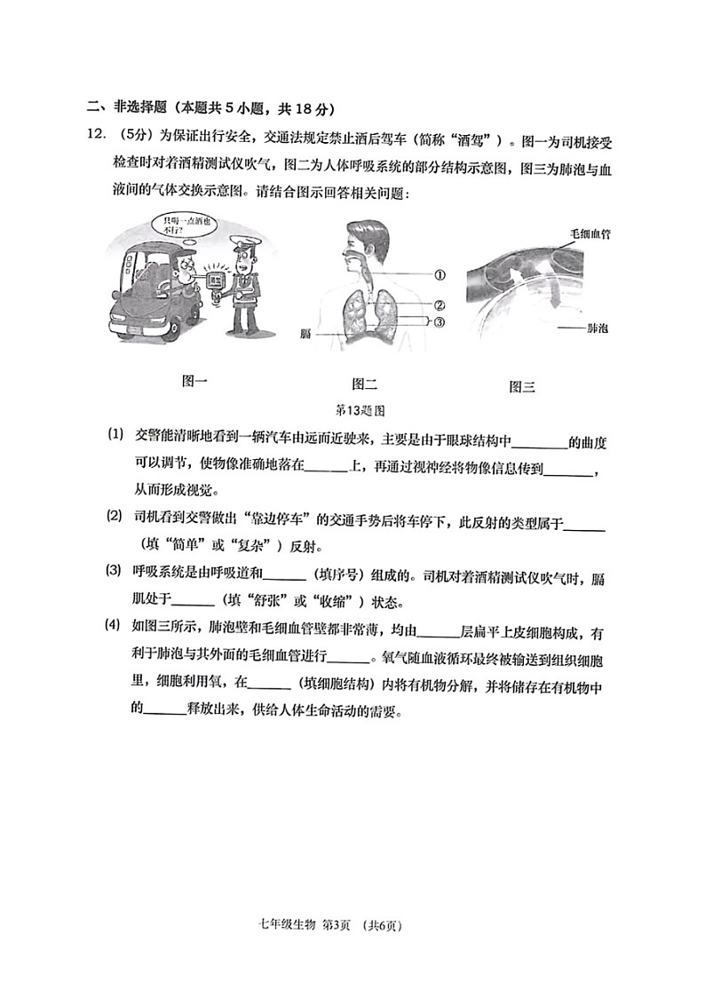 辽宁省大连市沙河口区2023-2024学年七年级下学期7月期末生物试题第3页