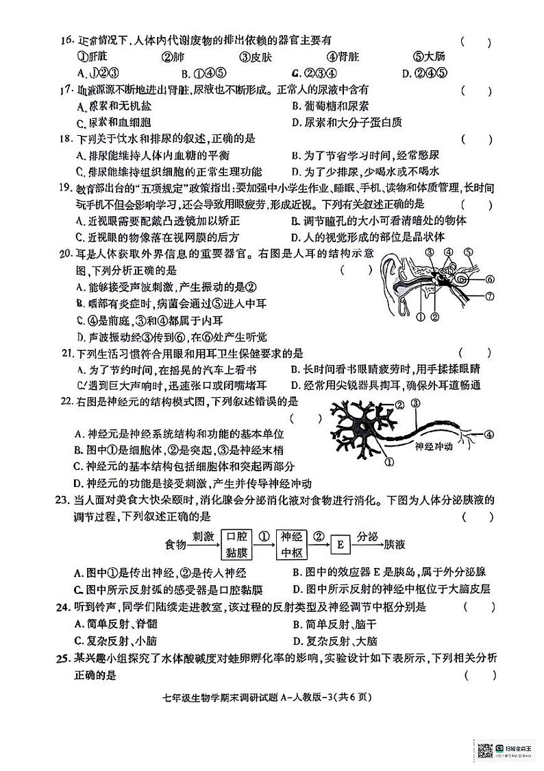 陕西省咸阳市永寿县部分学校2023-2024学年七年级下学期期末调研生物学试题第3页