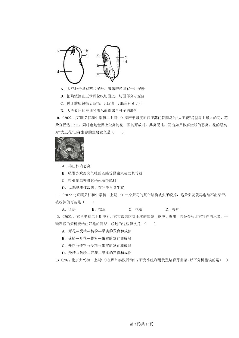 [生物]2022北京重点校初二上学期期中生物试题分类汇编：绿色开花植物的生殖和发育03