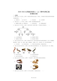 [生物]2020～2022北京重点校初二上学期期中生物试题分类汇编：生物的分类