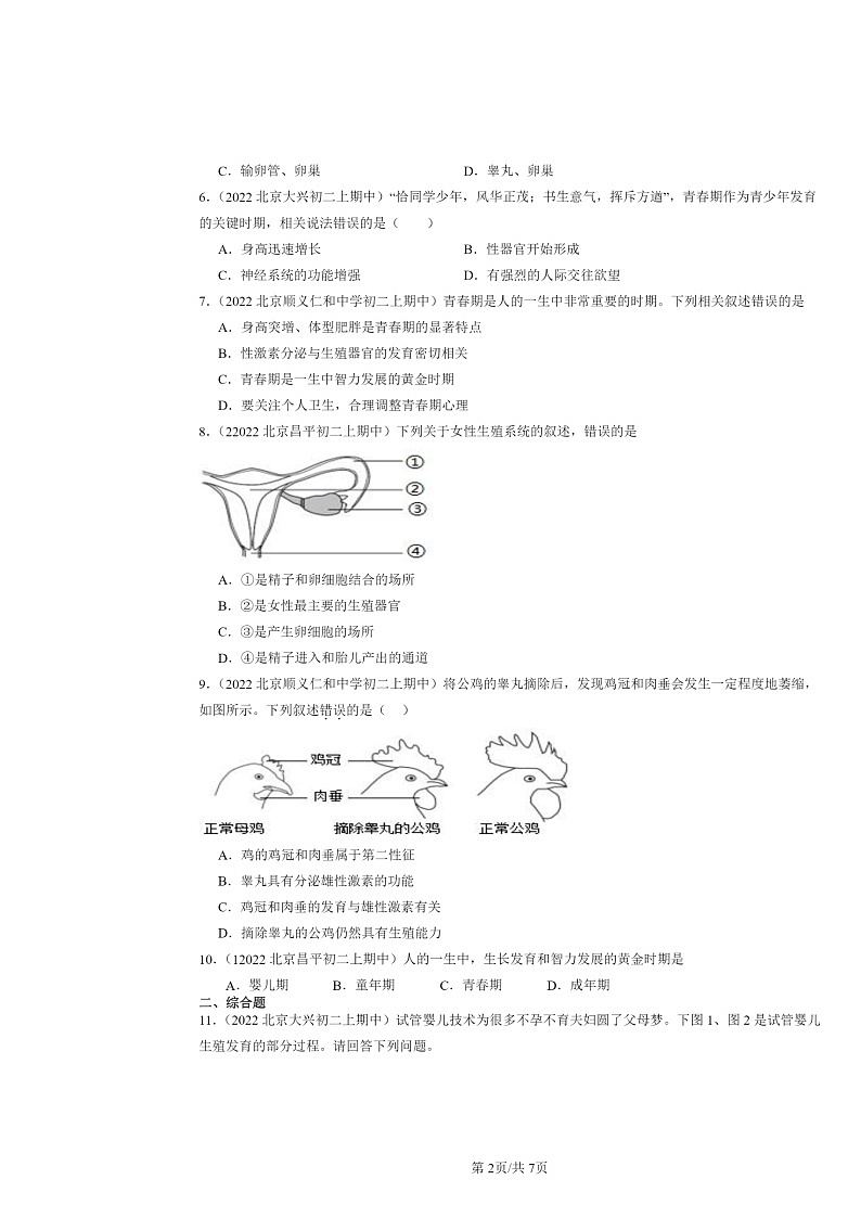 [生物]2022北京重点校初二上学期期中生物试题分类汇编：人的生殖和发育02