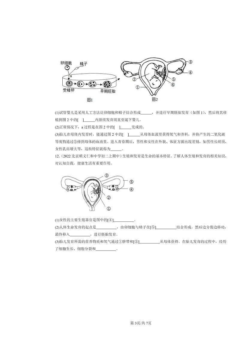 [生物]2022北京重点校初二上学期期中生物试题分类汇编：人的生殖和发育03