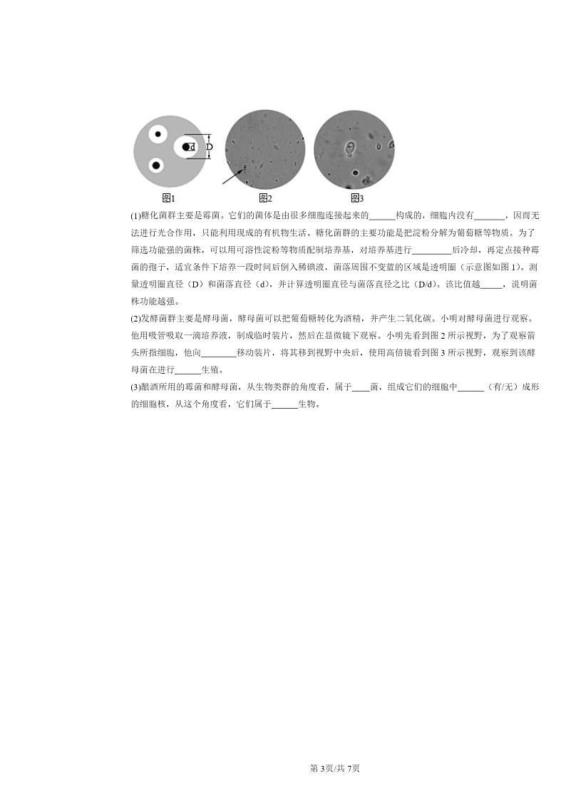 [生物]2020～2022北京重点校初二上学期期中生物试题分类汇编：真菌03