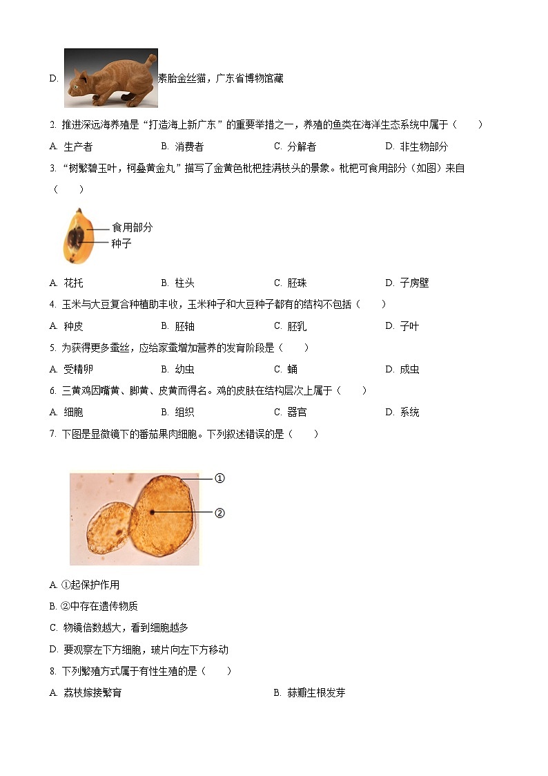 2024年广东省中考生物试题（原卷版+解析版）02