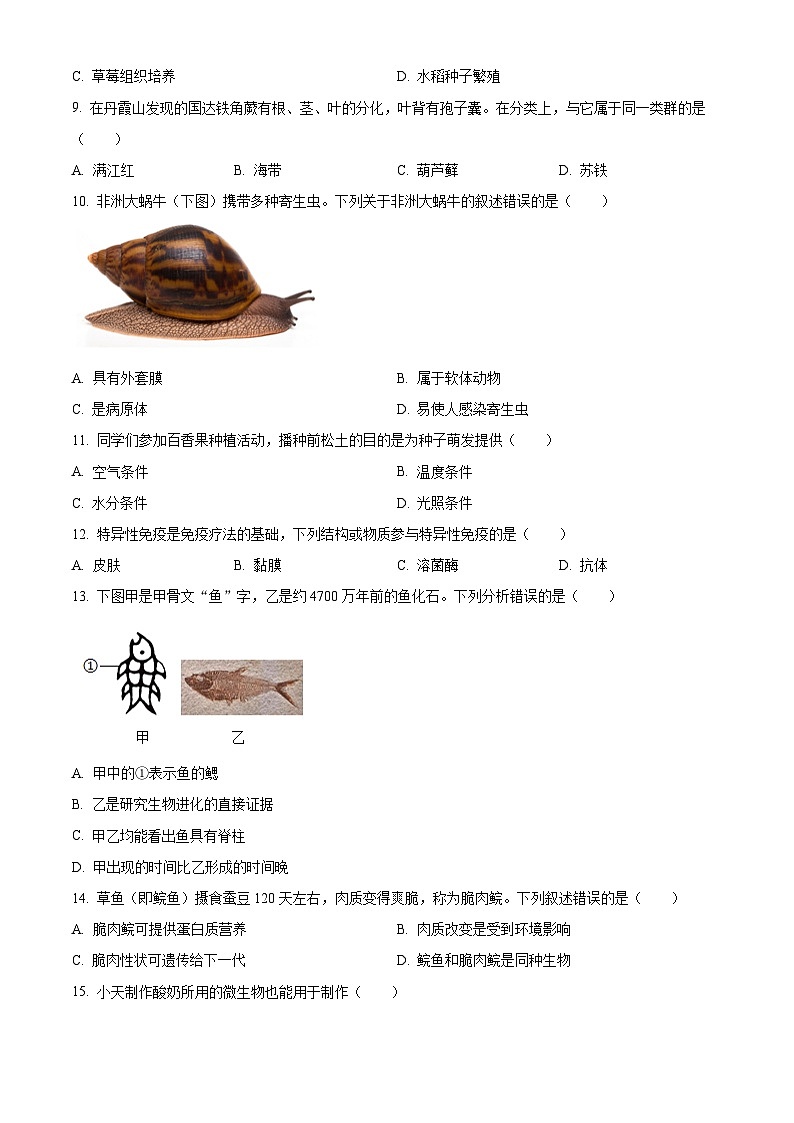 2024年广东省中考生物试题（原卷版+解析版）03