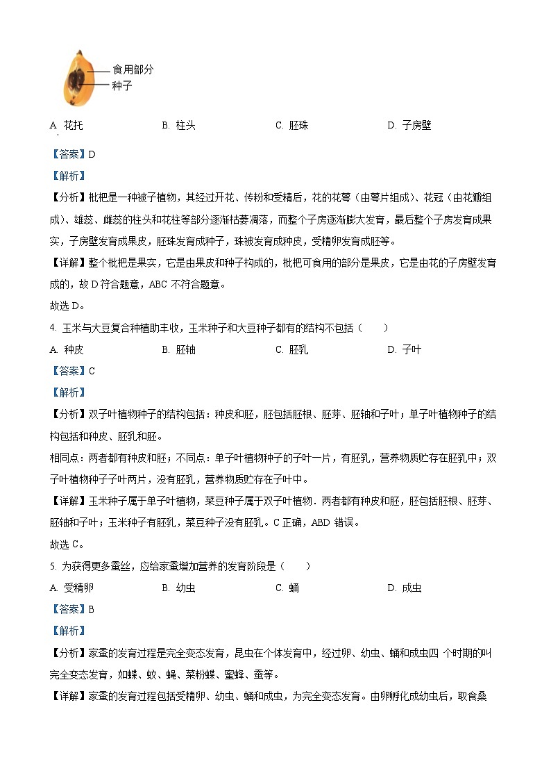 2024年广东省中考生物试题（原卷版+解析版）03