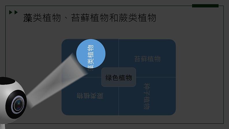 济南版 初中生物七年级上册2.1.1孢子植物主要有藻类、苔藓和蕨类植物课件+视频04