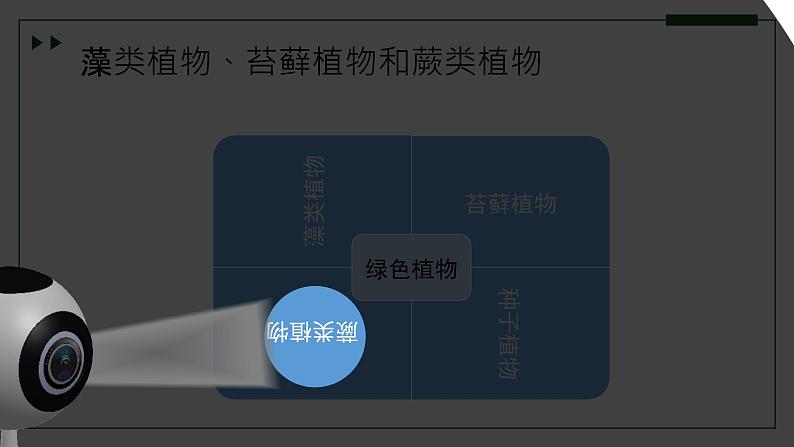 济南版 初中生物七年级上册2.1.1孢子植物主要有藻类、苔藓和蕨类植物课件+视频06