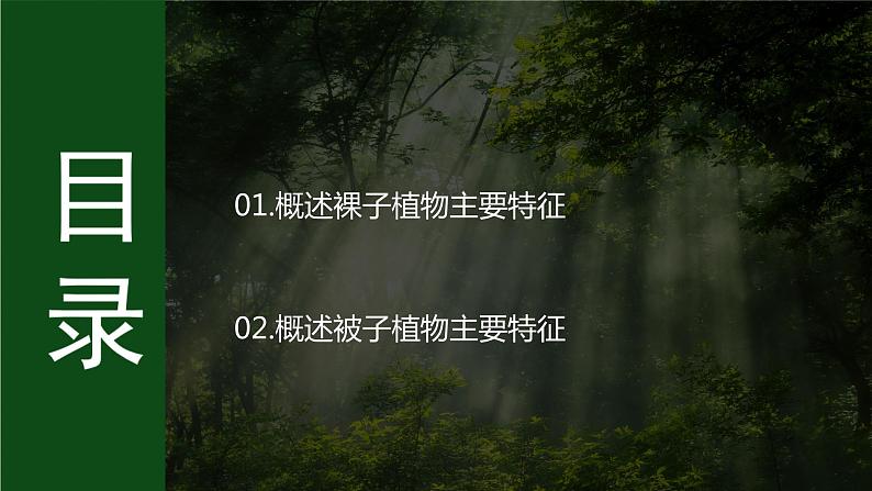 济南版 初中生物七年级上册2.1.2种子植物可分为裸子植物和被子植物课件+视频05