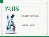 2.3.1细胞通过分裂而增殖（课件+教案）北师大版 七上
