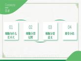 2.3.1细胞通过分裂而增殖（课件+教案）北师大版 七上