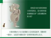 2.3.1细胞通过分裂而增殖（课件+教案）北师大版 七上