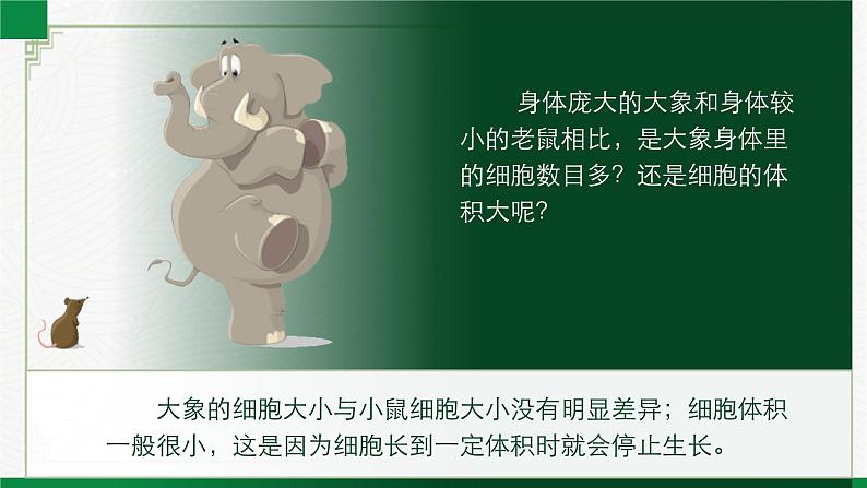 2.3.1细胞通过分裂而增殖（课件+教案）北师大版 七上04