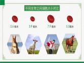 2.3.1细胞通过分裂而增殖（课件+教案）北师大版 七上