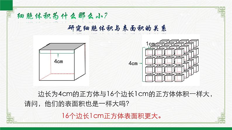 2.3.1细胞通过分裂而增殖（课件+教案）北师大版 七上07