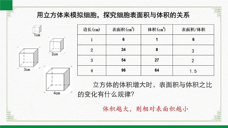 2.3.1细胞通过分裂而增殖（课件+教案）北师大版 七上08