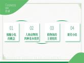2.3.2细胞分化形成组织（课件+教案）北师大版 七上