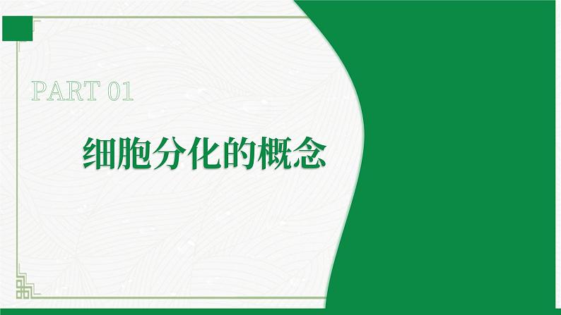 2.3.2细胞分化形成组织（课件+教案）北师大版 七上05