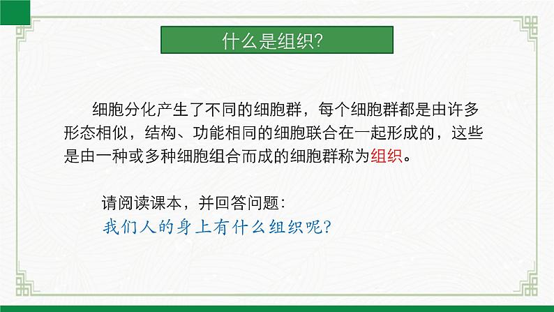 2.3.2细胞分化形成组织（课件+教案）北师大版 七上07