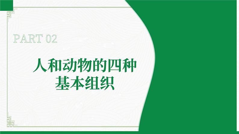 2.3.2细胞分化形成组织（课件+教案）北师大版 七上08